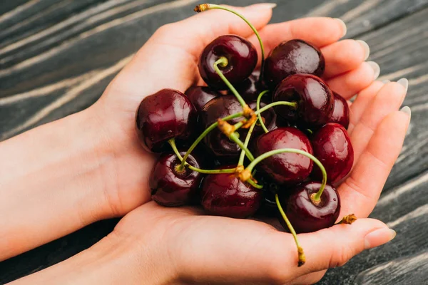 Cropped view of woman holding ripe sweet cherries on wooden surface — Stock Photo