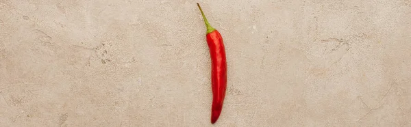 Top view of red chili pepper on beige concrete surface, panoramic shot — Stock Photo