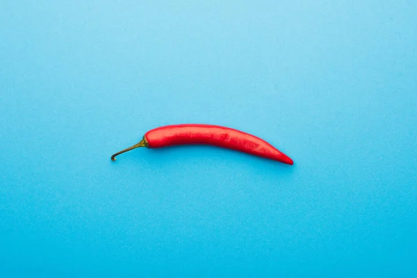 Vue du dessus du piment rouge épicé sur fond bleu — Photo de stock