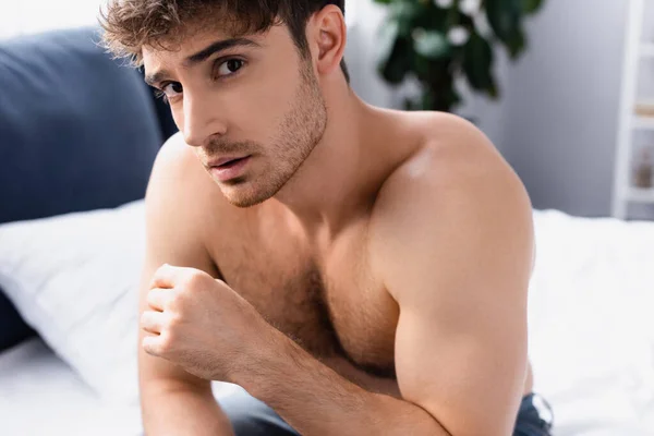 Молодой мужчина без рубашки смотрит в камеру в спальне — стоковое фото