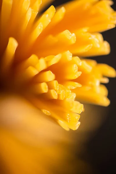 Close up view of uncooked Italian spaghetti isolated on black — Stock Photo
