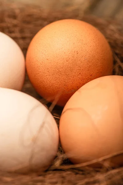 Close up view of fresh chicken eggs in nest — Stock Photo