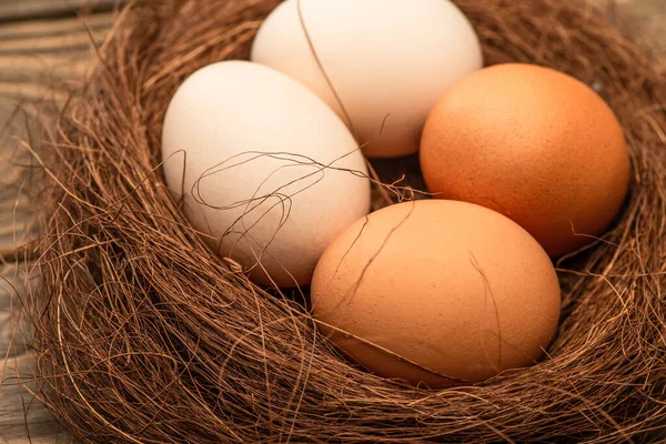 Close up view of fresh chicken eggs in nest — Stock Photo