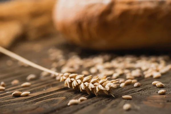 Selective focus of wheat spikelet on wooden surface — Stock Photo