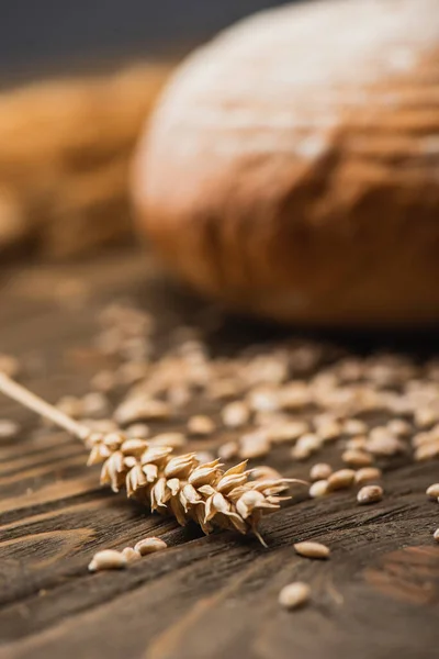 Selective focus of wheat spikelet on wooden surface — Stock Photo
