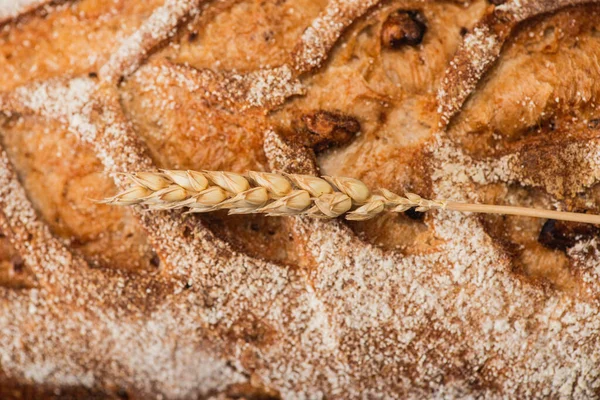 Close up view of fresh baked bread loaf with spikelet — Stock Photo