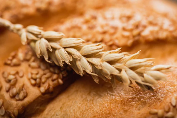 Close up view of fresh baked white bread loaf with spikelet — Stock Photo