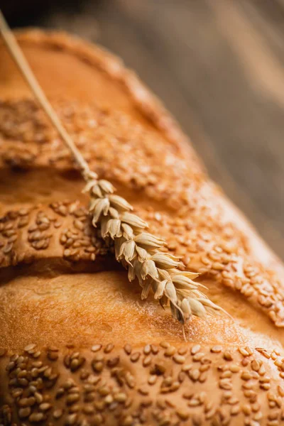 Close up view of fresh baked white bread loaf with spikelet — Stock Photo