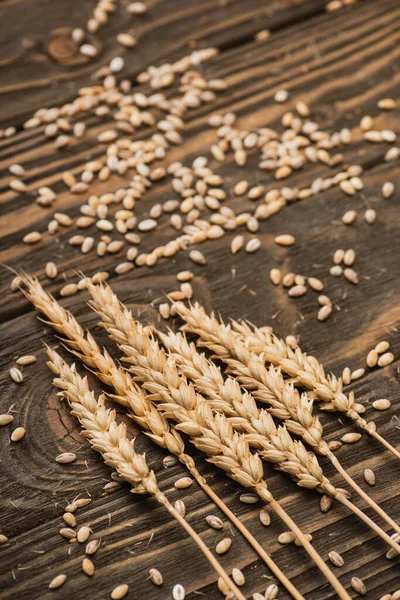Пшеничні колоски на дерев'яній сільській коричневій поверхні — стокове фото