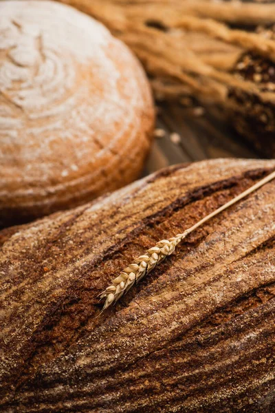 Selective focus of fresh baked bread loaves with spikelet — Stock Photo