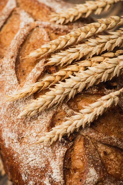 Close up view of fresh baked bread with spikelets — Stock Photo