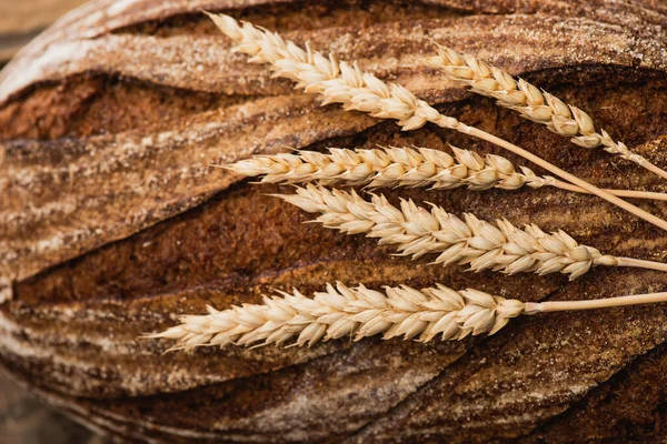 Close up view of fresh baked bread with spikelets — Stock Photo