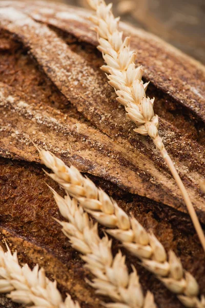 Vue rapprochée du pain frais cuit au four avec des épillets — Photo de stock