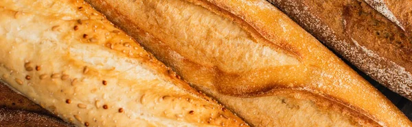 Close up view of fresh baked baguette loaves, panoramic shot — Stock Photo