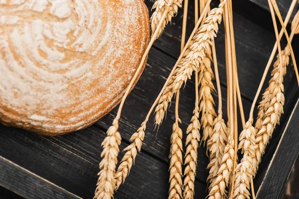 Close up view of fresh baked white bread loaf with spikelets on wooden black board — Stock Photo