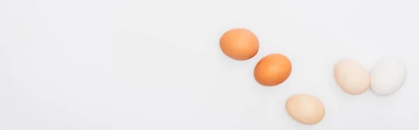 Top view of fresh chicken eggs isolated on white, panoramic shot — Stock Photo