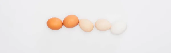 Top view of fresh chicken eggs isolated on white, panoramic shot — Stock Photo