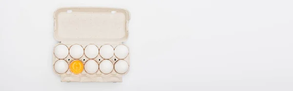 Vue du dessus des œufs et jaunes de poulet frais dans une boîte en carton isolée sur fond blanc, panoramique — Photo de stock