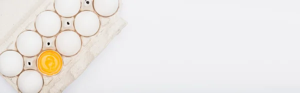 Top view of fresh chicken eggs and yolk in cardboard box isolated on white, panoramic shot — Stock Photo