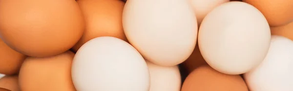 Top view of colorful fresh chicken eggs, panoramic shot — Stock Photo