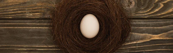 Vista superior del huevo de pollo fresco en el nido en la superficie de madera, plano panorámico - foto de stock