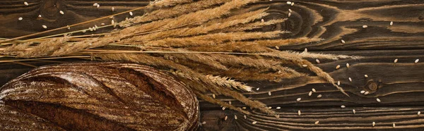 Top view of fresh baked bread loaf with spikelets on wooden surface, panoramic shot — Stock Photo