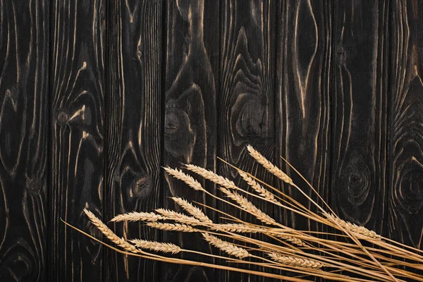 Vue de dessus des épillets sur la surface noire en bois — Photo de stock