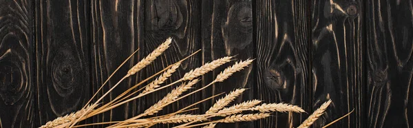 Vista dall'alto di spikelets su superficie nera di legno, colpo panoramico — Foto stock