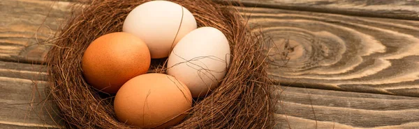Huevos de pollo frescos en el nido en la superficie de madera, tiro panorámico - foto de stock
