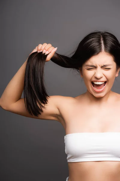 Upset brunette woman holding damaged hair and yelling isolated on black — Stock Photo