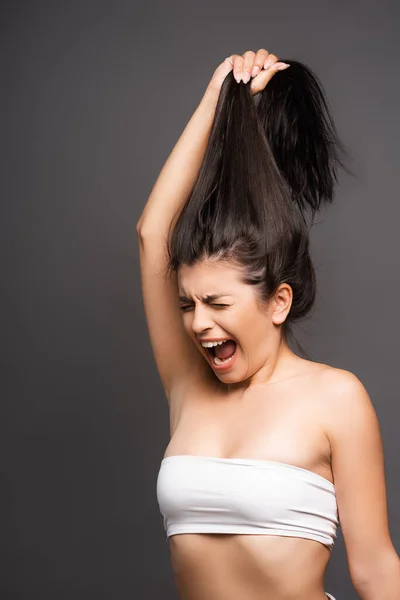 Mujer morena molesta sosteniendo el cabello dañado y gritando aislado en negro - foto de stock