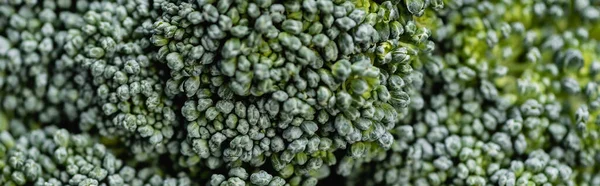 Vue rapprochée du brocoli vert frais, vue panoramique — Photo de stock