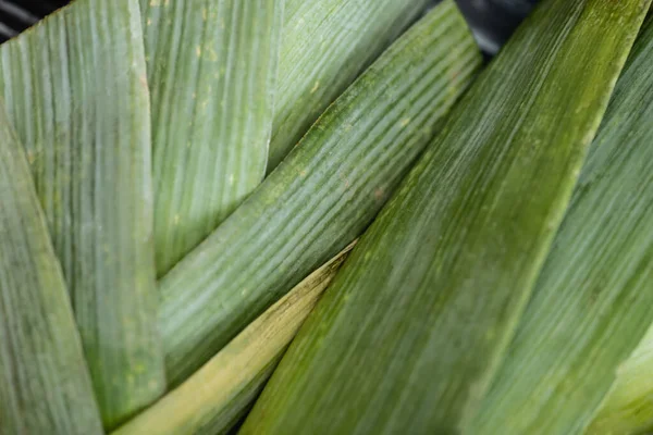 Vue rapprochée du poireau vert frais — Photo de stock