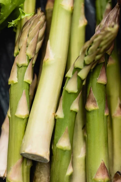 Close up view of fresh green asparagus — стоковое фото