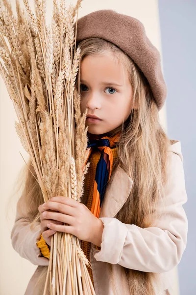 Chica rubia de moda en traje de otoño con espigas de trigo - foto de stock