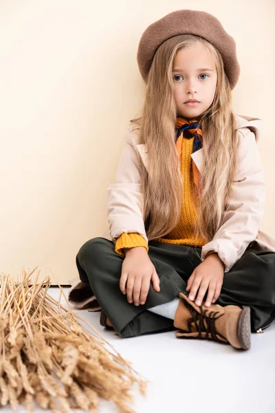 Chica rubia de moda en traje de otoño sentado en el suelo cerca de espigas de trigo sobre fondo beige y blanco - foto de stock