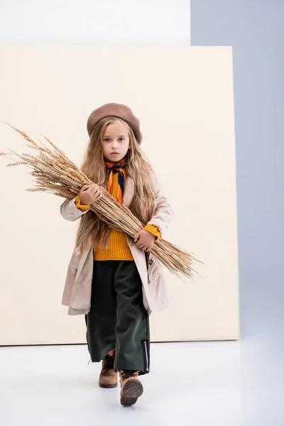Fashionable blonde girl in autumn outfit walking with wheat spikes on beige and white background — Stock Photo