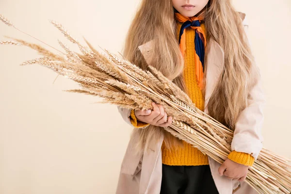 Vista ritagliata della ragazza bionda alla moda in abito autunnale con punte di grano isolate sul beige — Foto stock