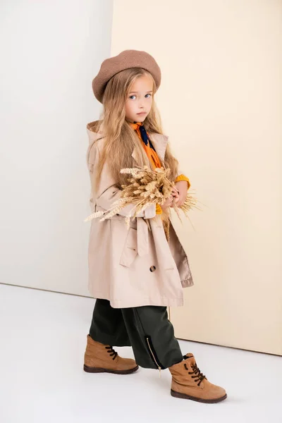 Side view of fashionable blonde girl in autumn outfit walking with wheat spikes on beige and white background — Stock Photo