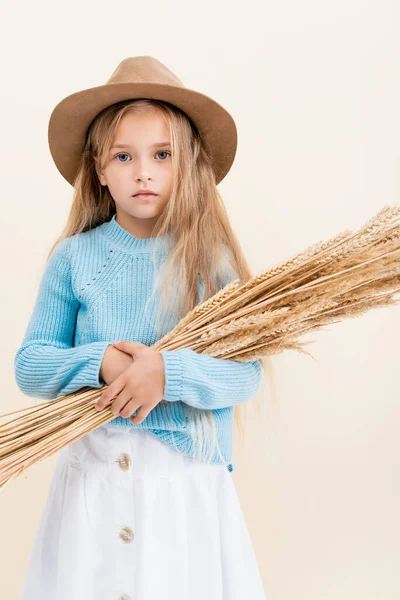 Chica rubia de moda en sombrero y suéter azul con espigas de trigo aislado en beige - foto de stock