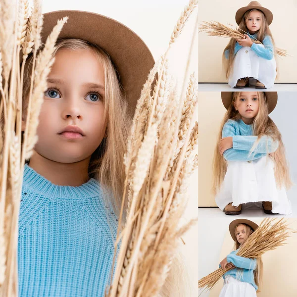 Collage of fashionable blonde girl in hat and blue sweater with wheat spikes — Stock Photo