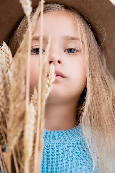 Избирательный фокус модной блондинки в шляпе и голубом свитере в пшеничных шипах — стоковое фото
