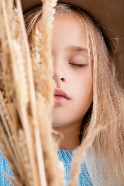 Foyer sélectif de la fille blonde à la mode dans le chapeau et le pull bleu dans les pointes de blé avec les yeux fermés — Photo de stock