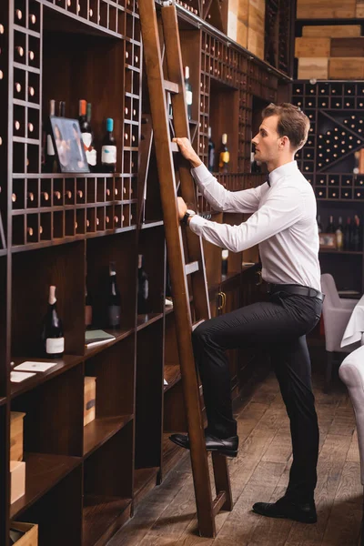 Selektiver Fokus des Sommeliers, der mit Weinflaschen auf Leiter in der Nähe von Regalen steht — Stockfoto