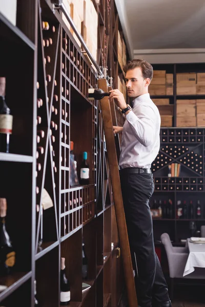 Seitenansicht eines Sommeliers, der eine Flasche Wein hält, während er auf einer Leiter in der Nähe von Regalen steht — Stockfoto