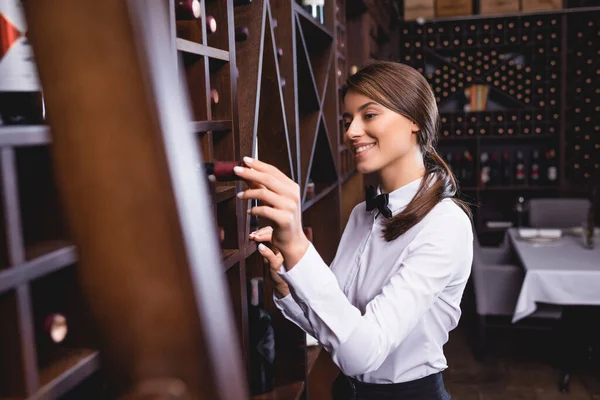 Concentration sélective du jeune sommelier prenant bouteille de vin de rack — Photo de stock