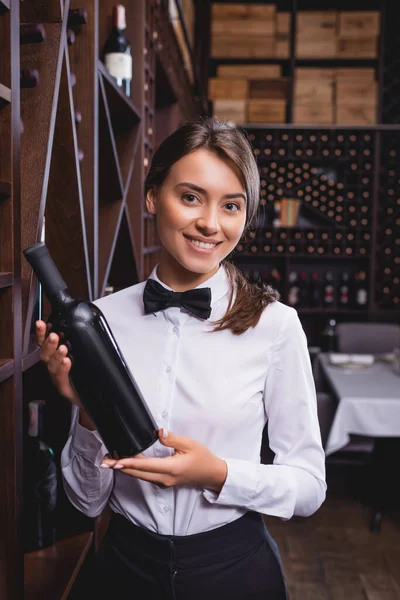 Selektiver Fokus eines brünetten Sommeliers, der eine Flasche Wein in der Hand hält und im Restaurant in die Kamera blickt — Stockfoto