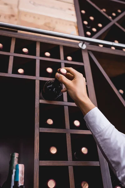 Cropped view of sommelier in shirt taking wine bottle from rack in restaurant — Stock Photo