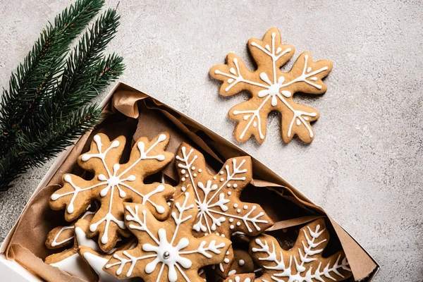 Top view of box of gingerbread cookies near brunch of pine on grey background — Stock Photo