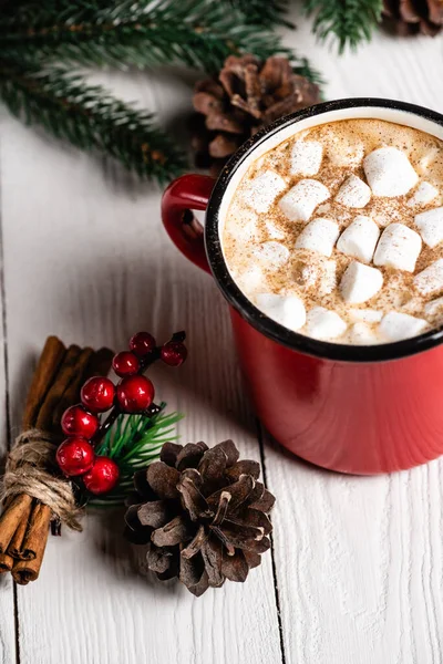 Cup of cocoa with marshmallows near cinnamon sticks with red beads and pine cone — Stock Photo